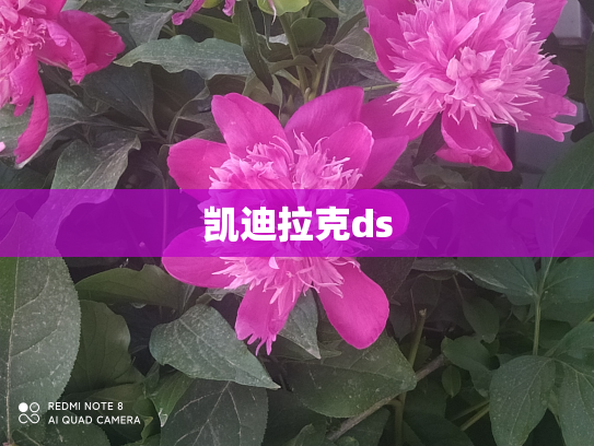 凯迪拉克ds