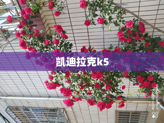 凯迪拉克k5