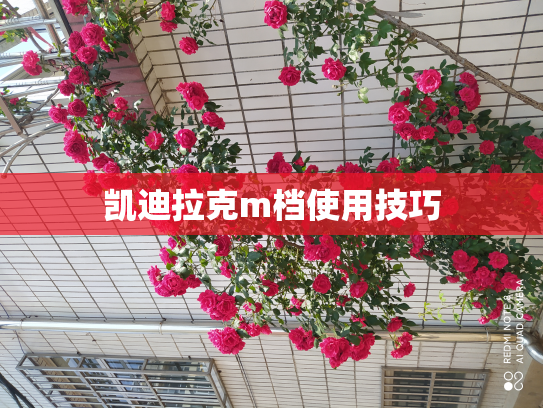 凯迪拉克m档使用技巧