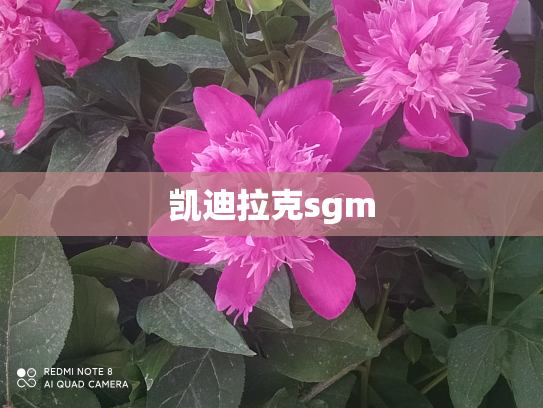 凯迪拉克sgm