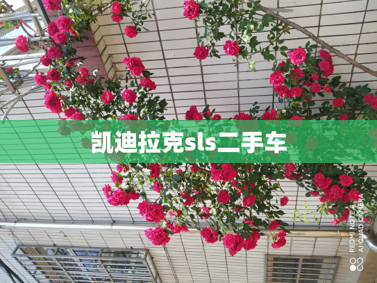 凯迪拉克sls二手车