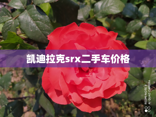 凯迪拉克srx二手车价格