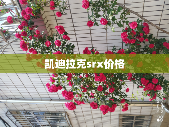 凯迪拉克srx价格