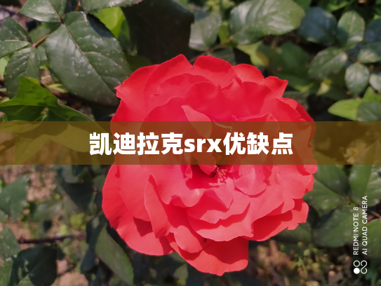 凯迪拉克srx优缺点