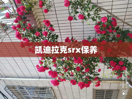 凯迪拉克srx保养