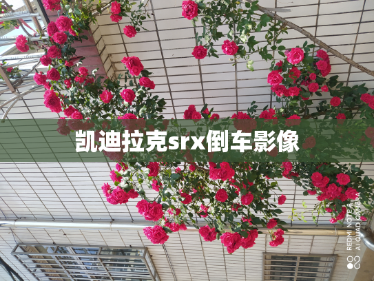 凯迪拉克srx倒车影像