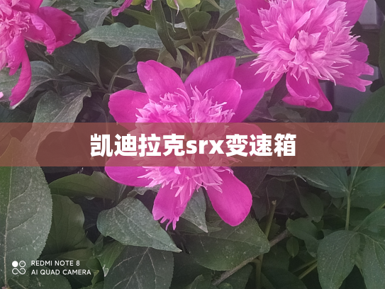 凯迪拉克srx变速箱