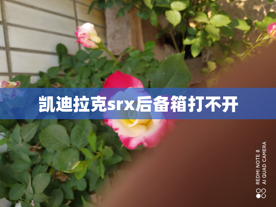 凯迪拉克srx后备箱打不开