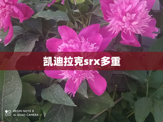 凯迪拉克srx多重