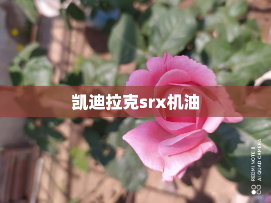 凯迪拉克srx机油