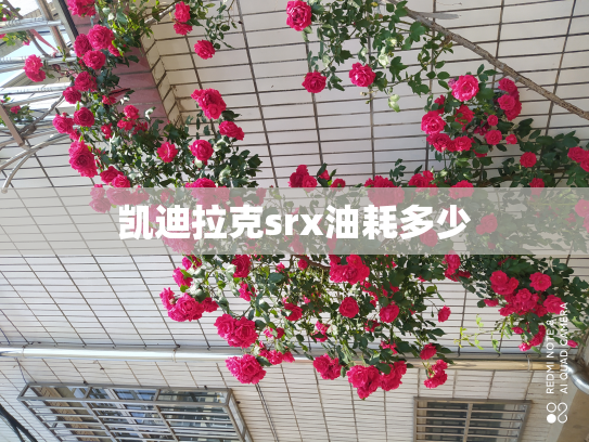 凯迪拉克srx油耗多少