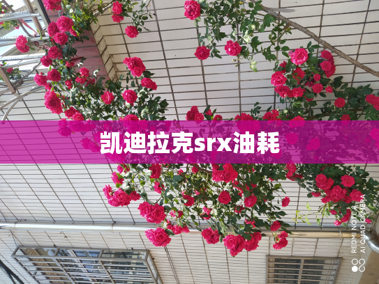 凯迪拉克srx油耗