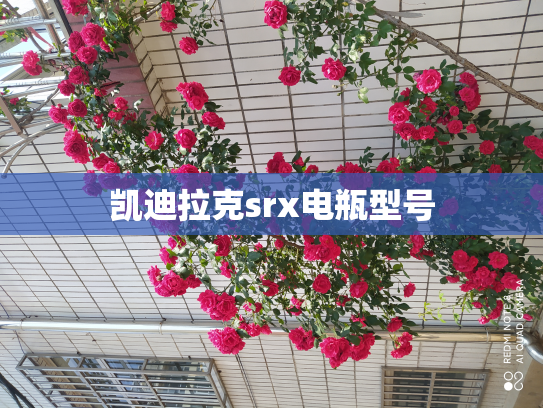 凯迪拉克srx电瓶型号