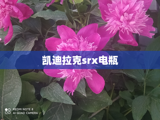 凯迪拉克srx电瓶