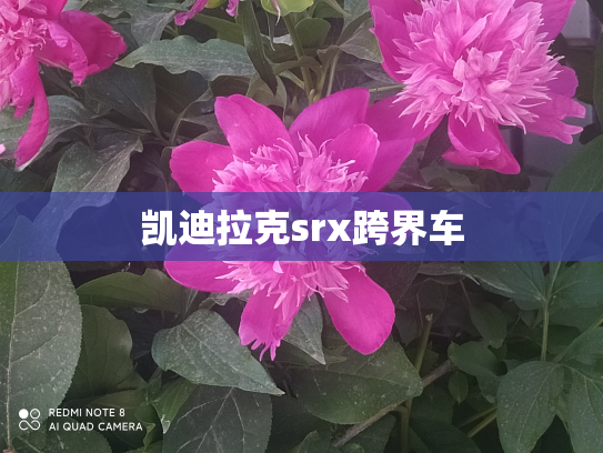 凯迪拉克srx跨界车