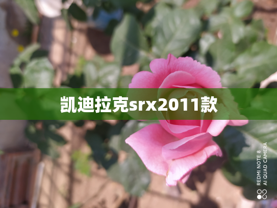 凯迪拉克srx2011款