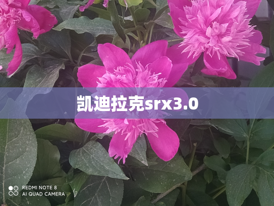 凯迪拉克srx3.0