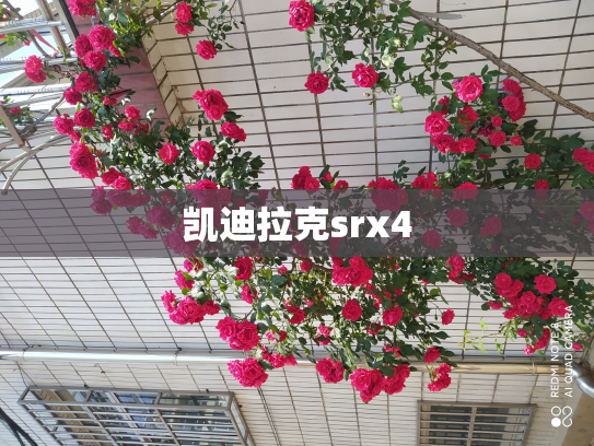 凯迪拉克srx4