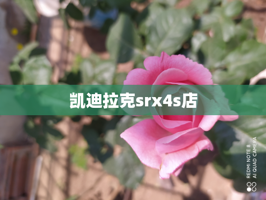 凯迪拉克srx4s店