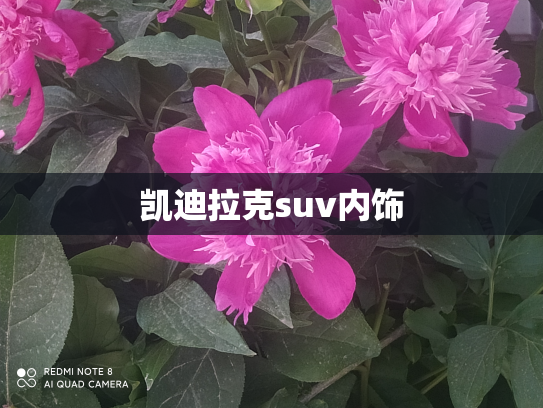 凯迪拉克suv内饰