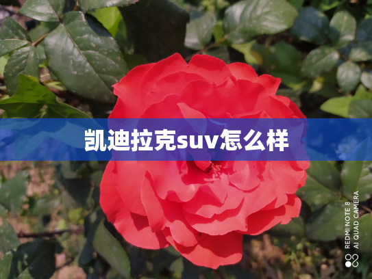 凯迪拉克suv怎么样