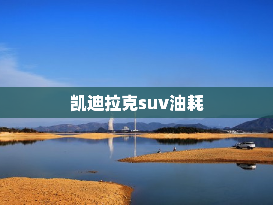 凯迪拉克suv油耗