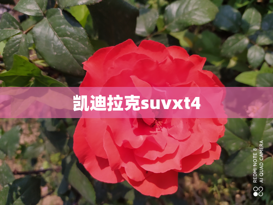 凯迪拉克suvxt4