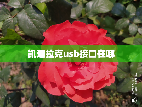 凯迪拉克usb接口在哪
