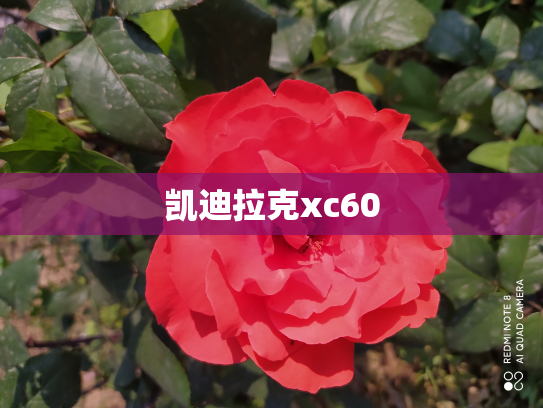 凯迪拉克xc60