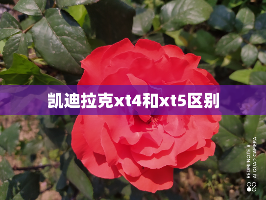 凯迪拉克xt4和xt5区别