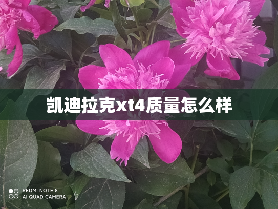 凯迪拉克xt4质量怎么样