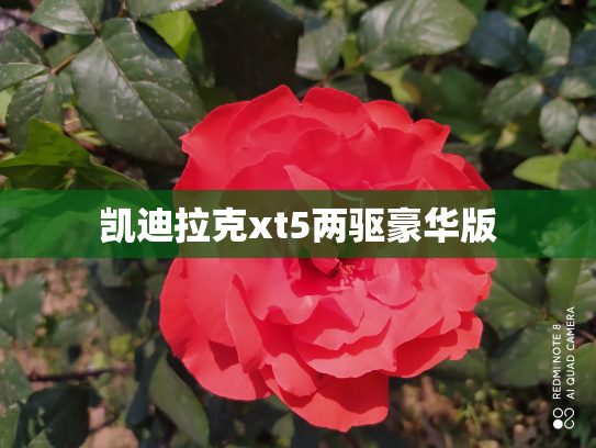 凯迪拉克xt5两驱豪华版