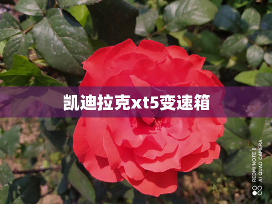 凯迪拉克xt5变速箱