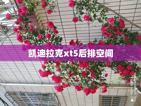 凯迪拉克xt5后排空间