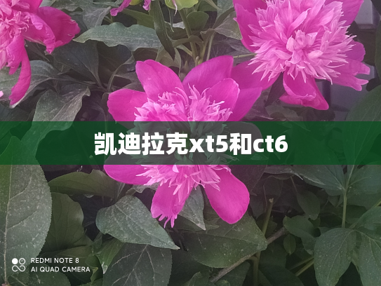 凯迪拉克xt5和ct6