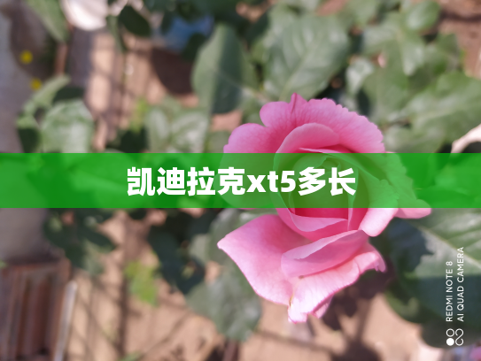 凯迪拉克xt5多长