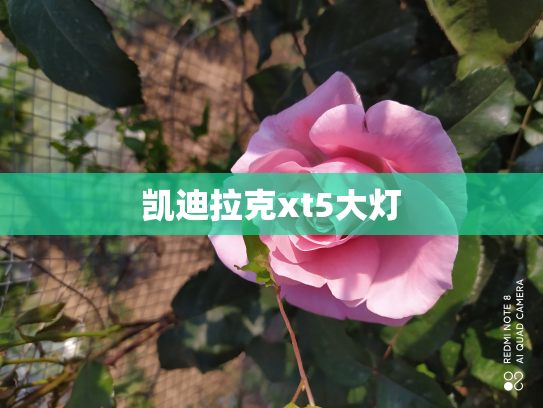 凯迪拉克xt5大灯