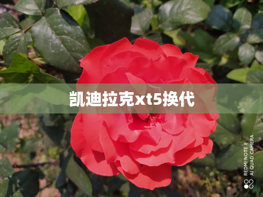 凯迪拉克xt5换代