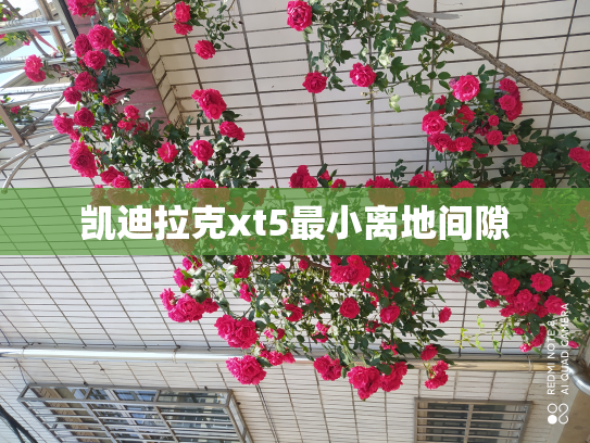 凯迪拉克xt5最小离地间隙