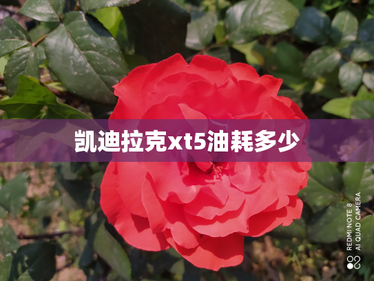 凯迪拉克xt5油耗多少