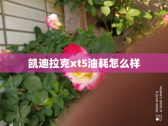 凯迪拉克xt5油耗怎么样