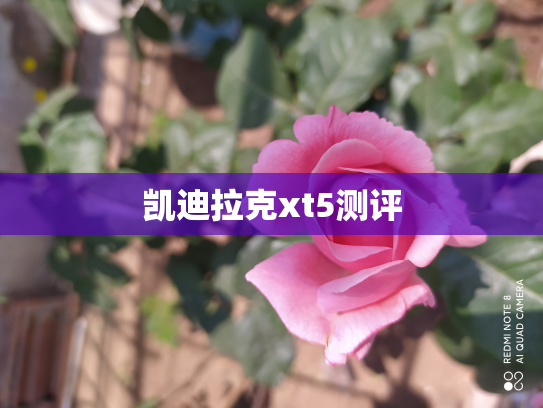 凯迪拉克xt5测评