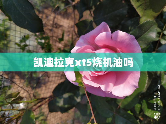 凯迪拉克xt5烧机油吗