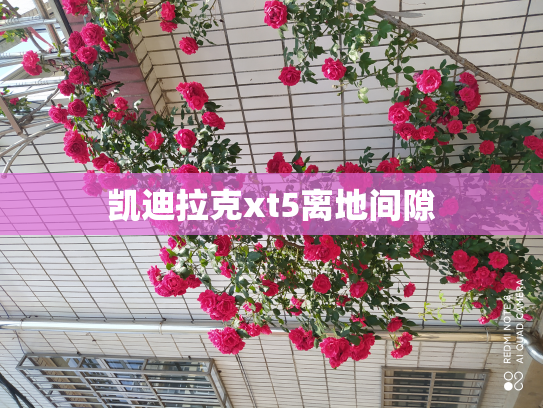 凯迪拉克xt5离地间隙