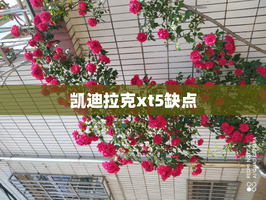 凯迪拉克xt5缺点