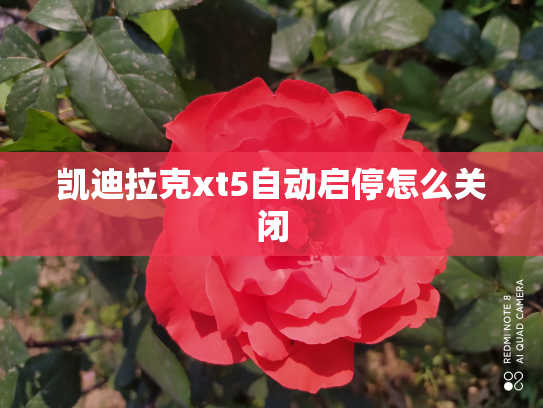 凯迪拉克xt5自动启停怎么关闭