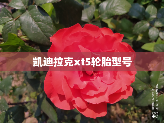 凯迪拉克xt5轮胎型号