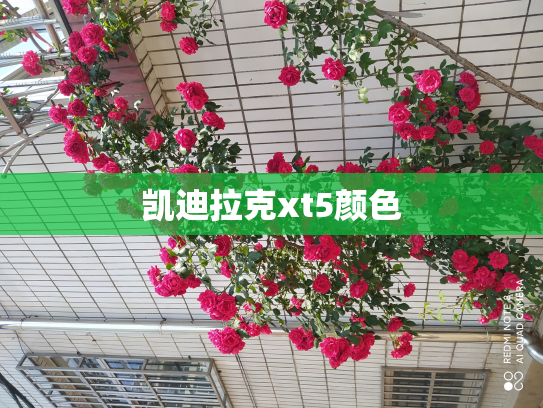 凯迪拉克xt5颜色