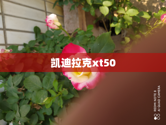 凯迪拉克xt50
