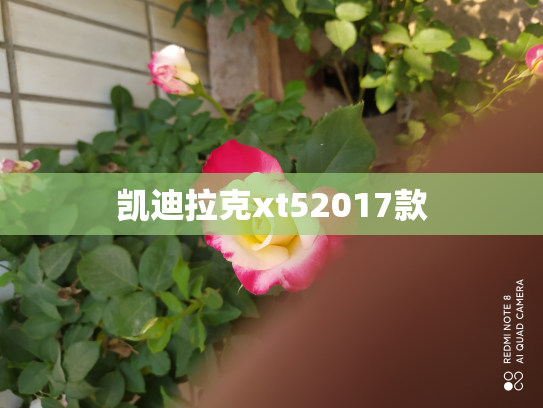 凯迪拉克xt52017款